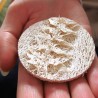 Pad en luffa pour le gommage de la peau