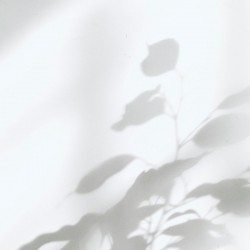 Drap plat ancien en métis