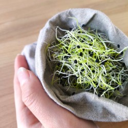 Sac germoir en LIN BRUT naturel "sproutbag"