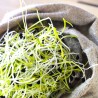 Sac de germination en tissu de LIN BRUT naturel