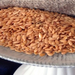 Graines pour sac de germination en lin