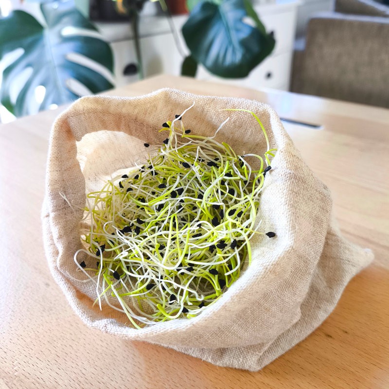 Sac de germination en chanvre naturel