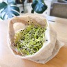 Sac de germination en chanvre naturel