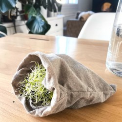 Sac de germination en lin naturel brut avec graines
