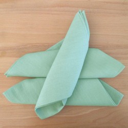 Serviette en lin vert clair eucalyptus